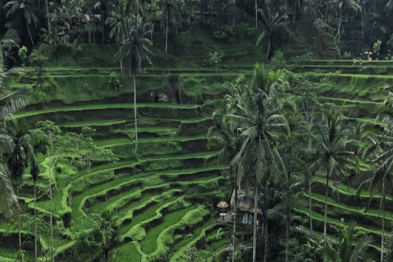 Indonesie,indonesia,rondreis,exotisch,Gili,maatwerk,snorkelen,natuur,cultuur,greenwood,green wood,travel,bouwstenen,laagste prij