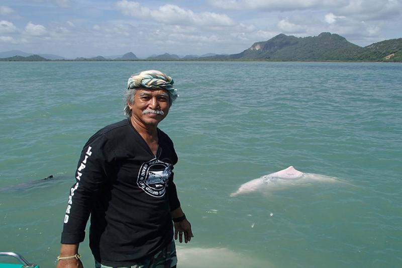 Roze dolfijnen dierenwelzijn en milieu Koh samui