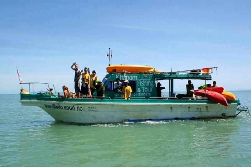 Roze dolfijnen dierenwelzijn en milieu