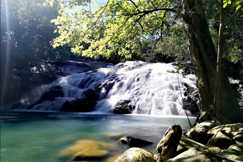 Roze dolfijnen dierenwelzijn en milieu