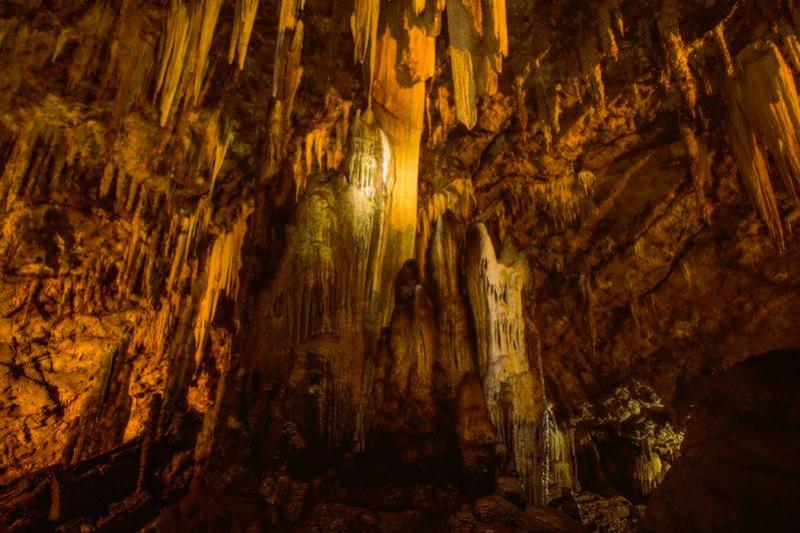 Roze dolfijnen dierenwelzijn Nakhon Si Thammarat