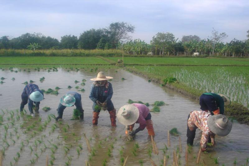 Fietsen door Sukhothai Historical Park en omgeving