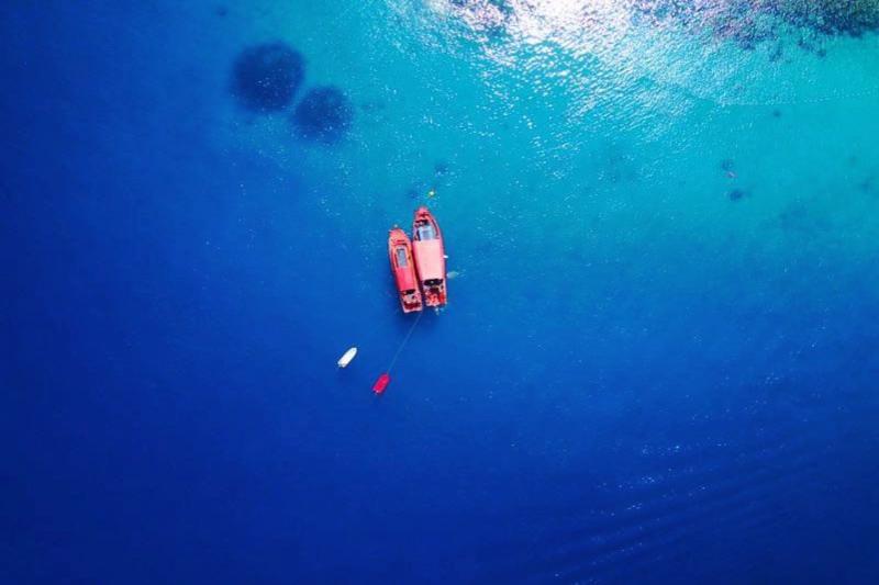 Snorkel toer Koh Chang tropische vissen