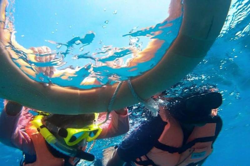 Snorkel toer Koh Chang tropische vissen