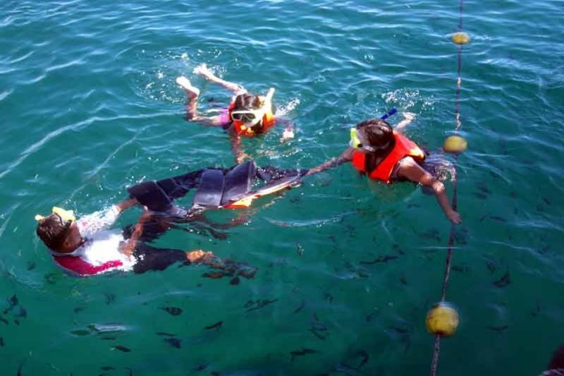 Snorkelen Koh Chang koraal Greenwood
