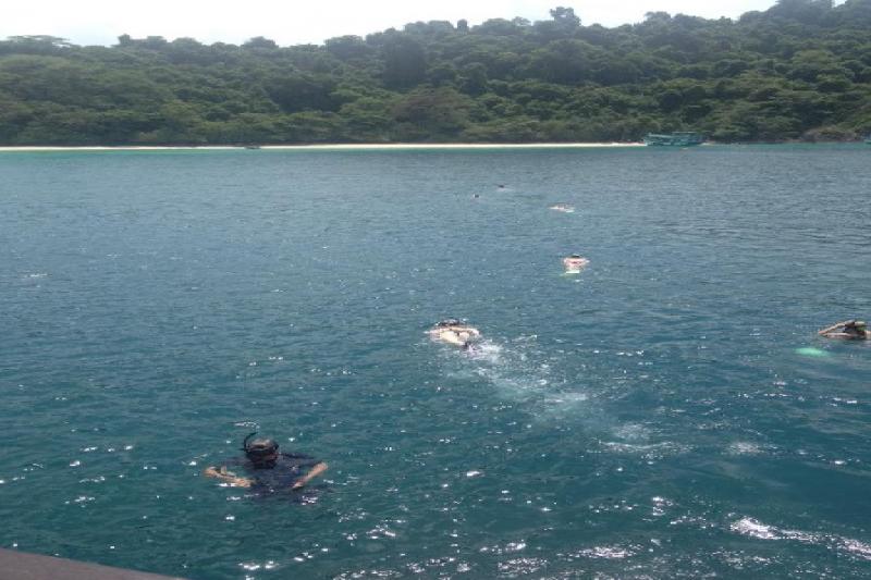 Snorkel tour Koh Chang mooie koralen