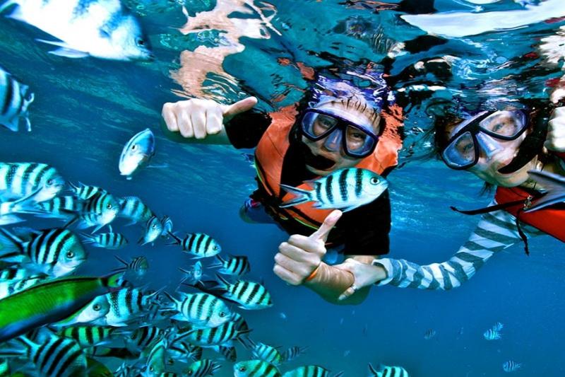 Snorkel tour Koh Chang mooie koralen