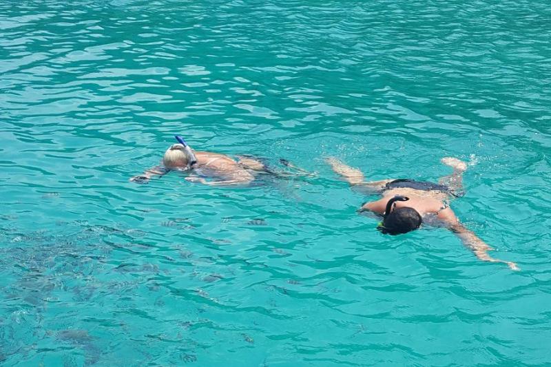 Snorkel tour Koh Chang mooie koralen