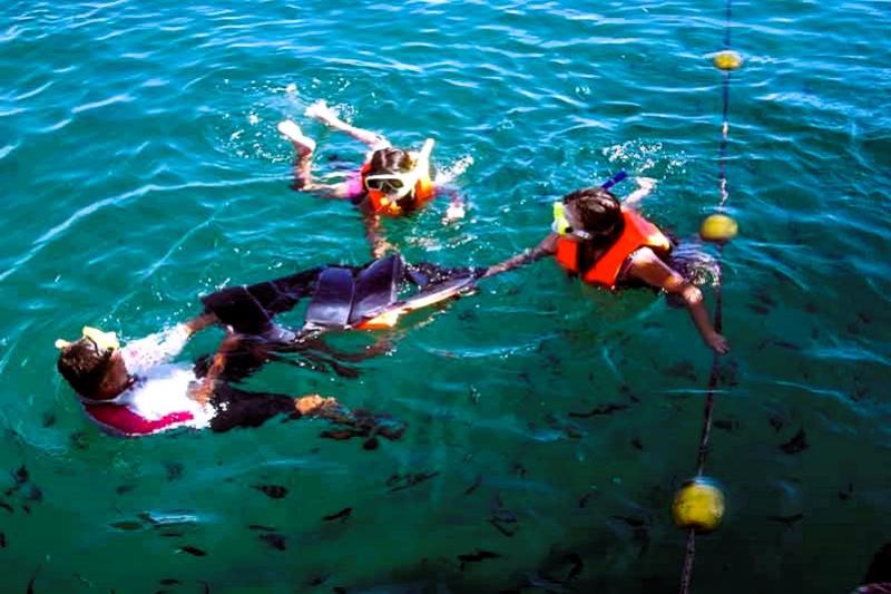 Beste snorkeltrip van Koh Chang