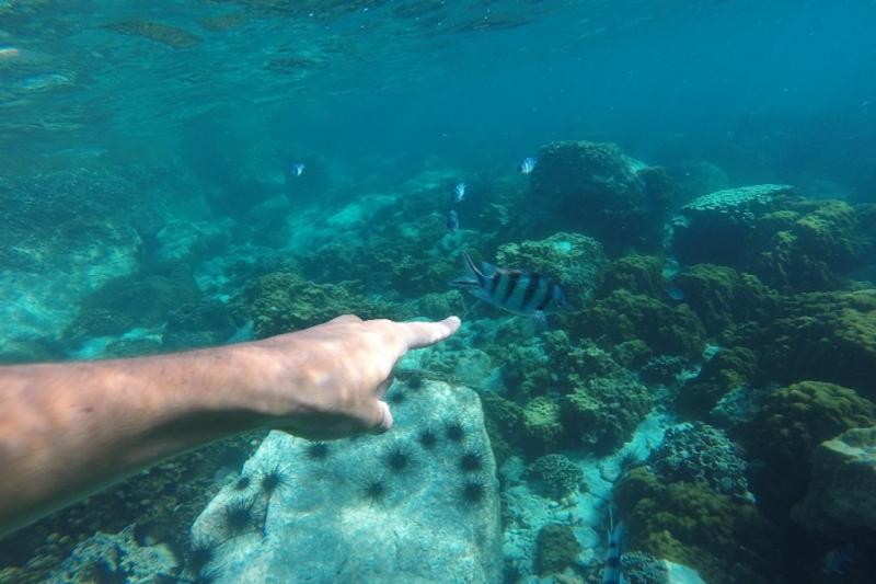 snorkelen bij Koh Thonglang Koh Wai en Koh Mak