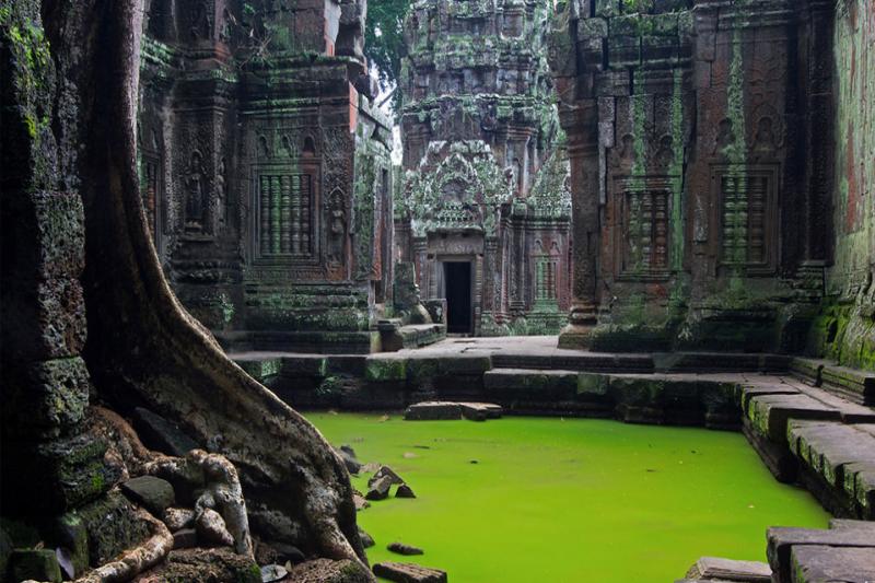 Phnom Penh & Angkor Wat Green wood Travel