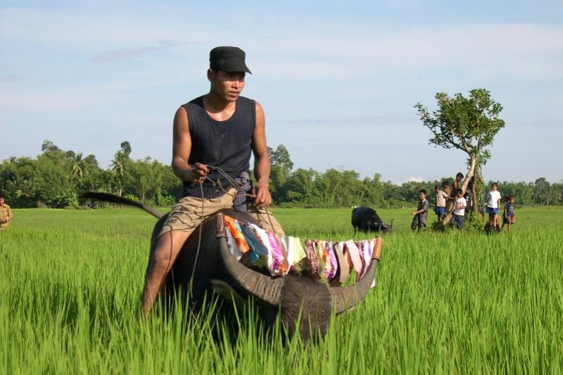 Phnom Penh & Angkor Wat 6 dagen