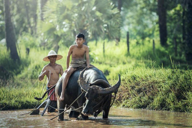 Phnom Penh & Angkor Wat 6 dagen