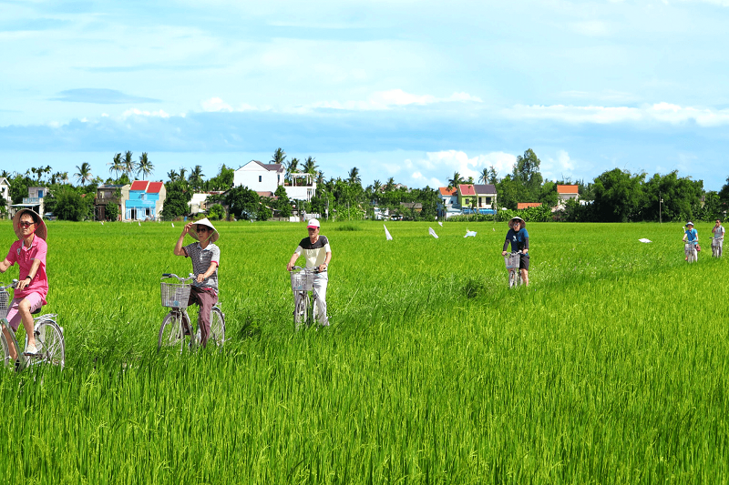 Fietstocht langs Lanna land buffel paden