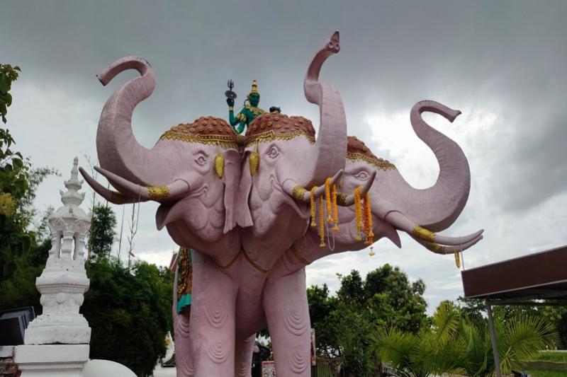 Fietstocht langs Lanna land buffel paden