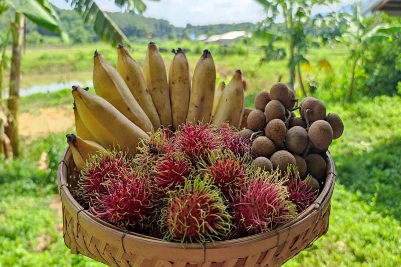 fruit markten thailand