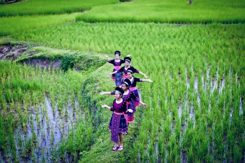 Fietsttoch door chiang rai
