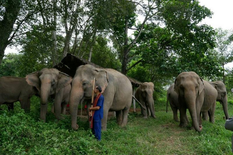 Elephant Haven 2 daagse trip Krasae cave