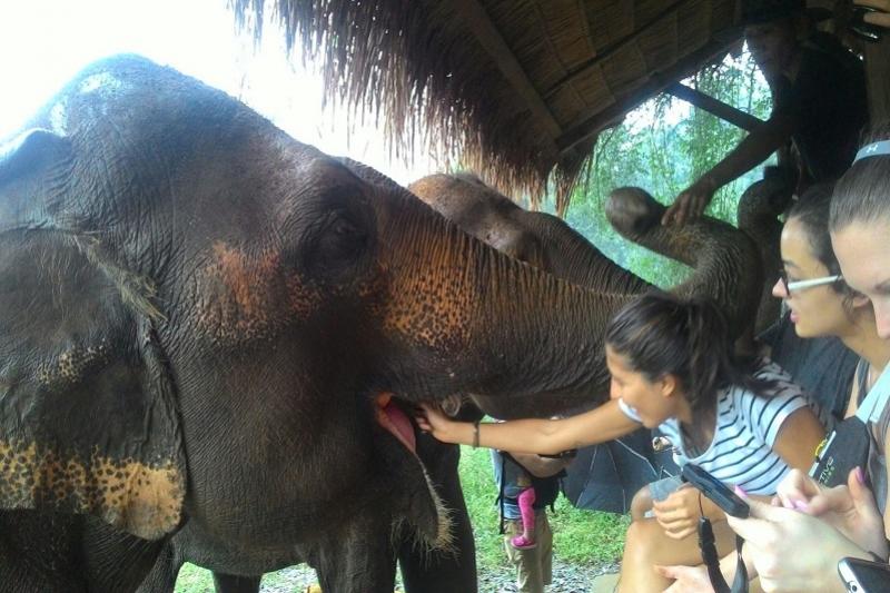 Elephant Haven 2 daagse trip Death railway