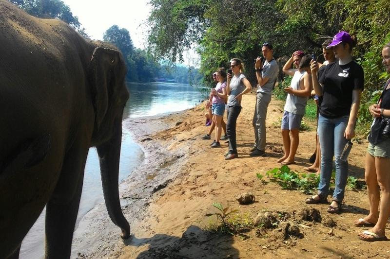 Elephant Haven 2 daagse trip Green Wood