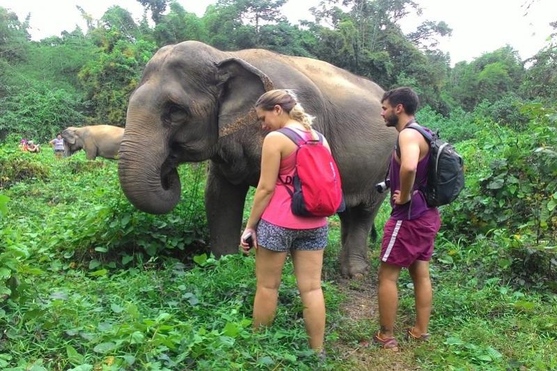 Elephant Haven 2 daagse trip Sai Yok park