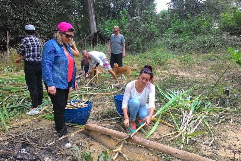 Elephant Haven 2 daagse trip Sai Yok park