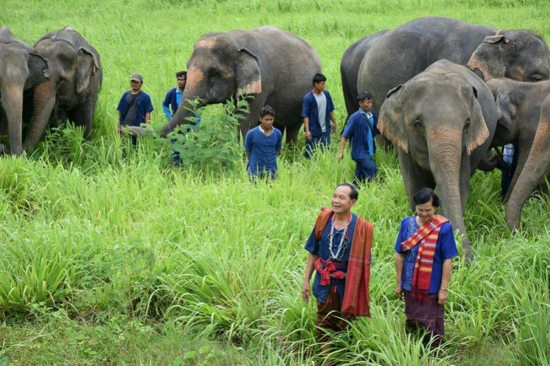 Elephant Haven 2 daagse trip