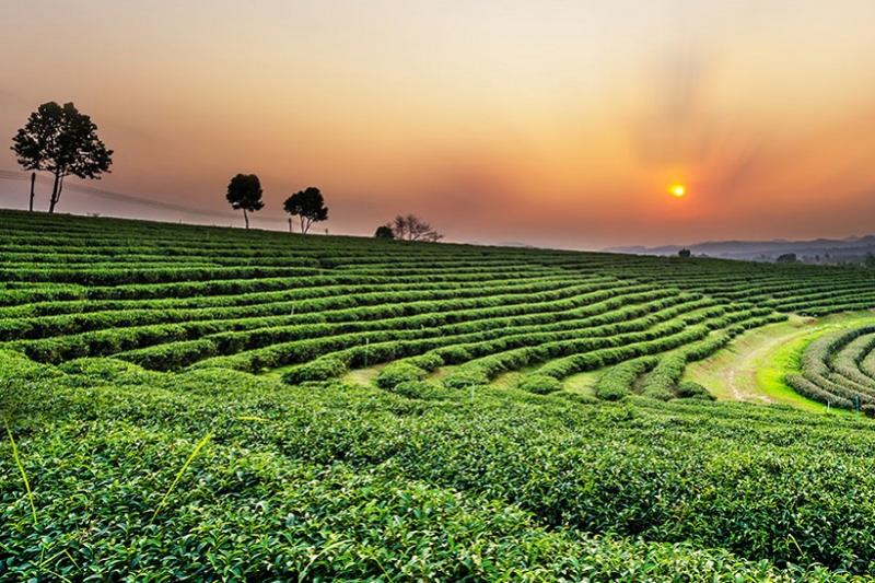 Halve dag fietstrip door het Lanna landschap