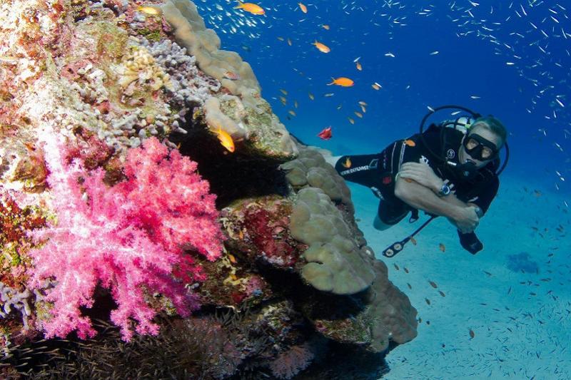 PADI - Open water Khao Lak