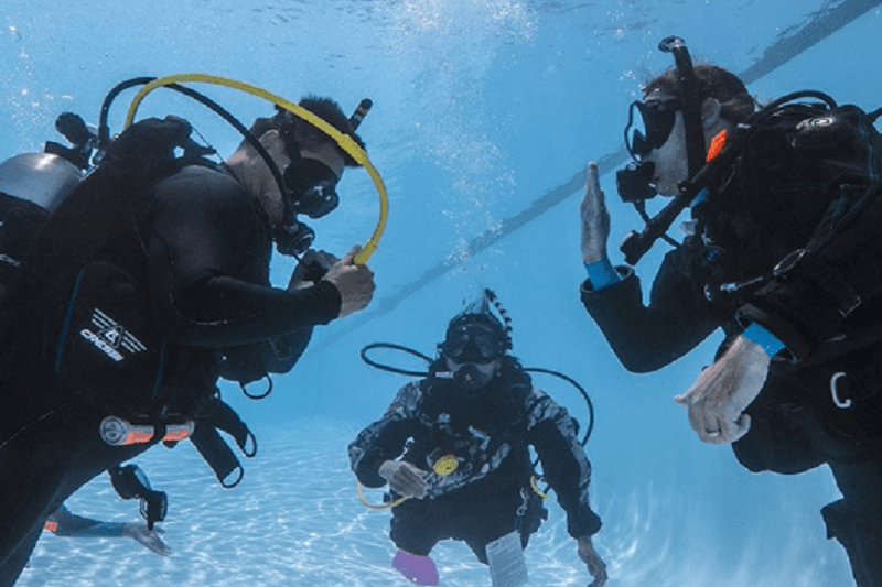 PADI Green Wood Travel