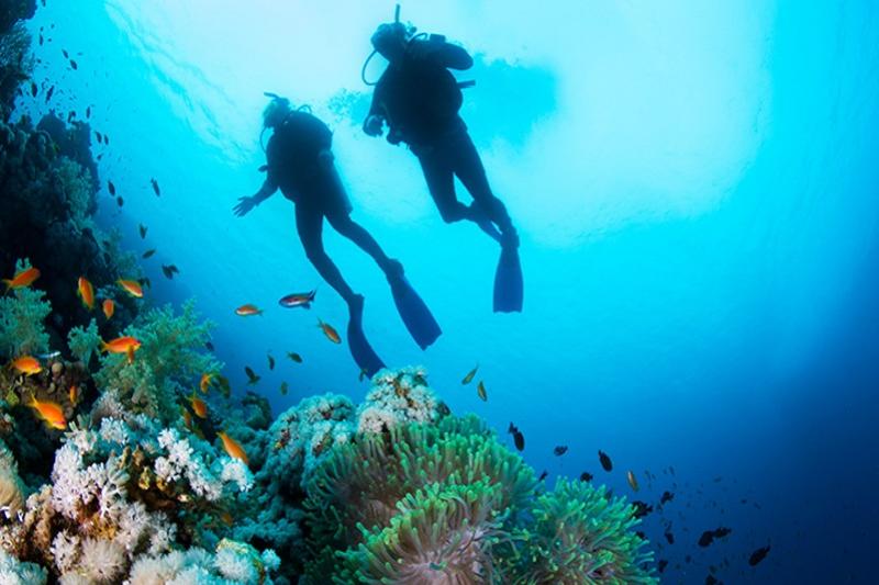 PADI - Open water Diving Course