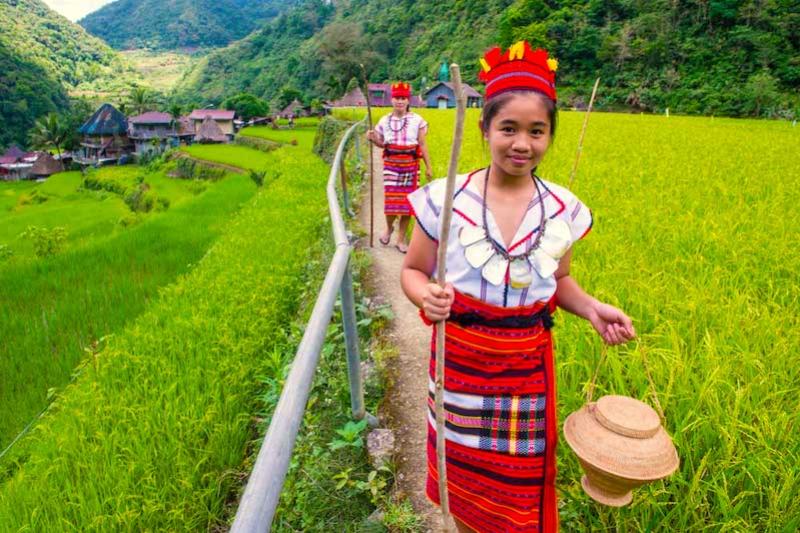 Bergen en rijstterrassen van Noord Luzon Green Wood Travel Banaue