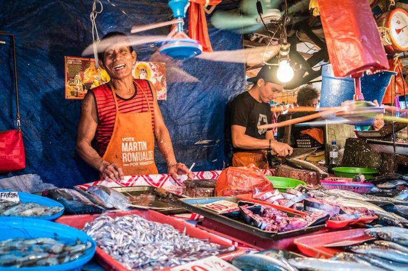 Bergen en rijstterrassen van Noord Luzon Green Wood Travel Banaue