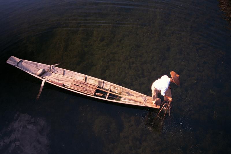 Green Wood Travel weekreizen