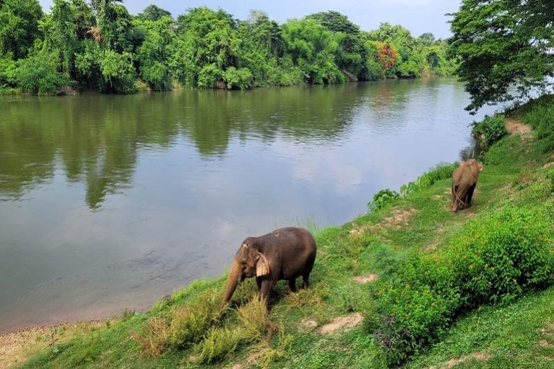 Somboon Legacy Kanchanaburi Greenwood Travel