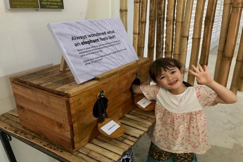 Somboon-olifant-Foundation-kanchanaburi