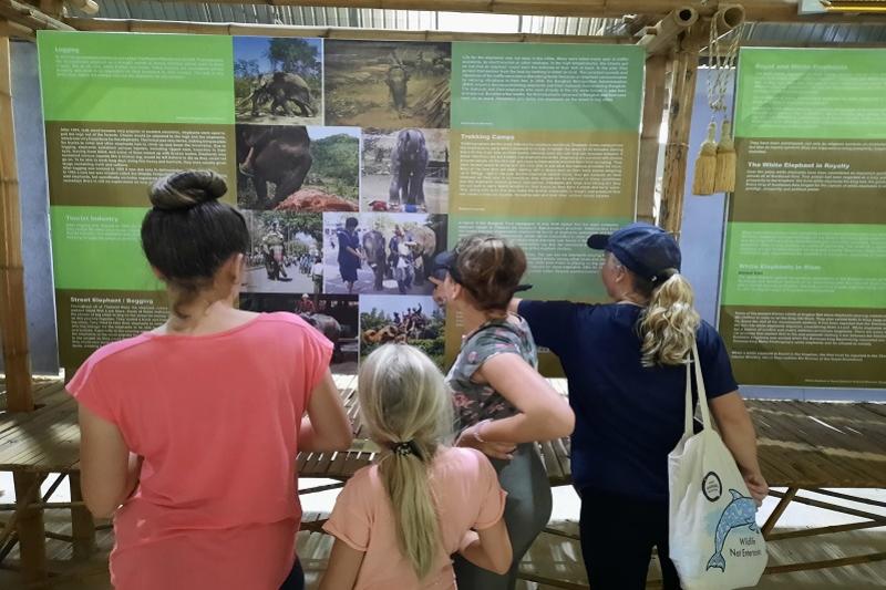 Somboon Legacy werken Thailand olifanten