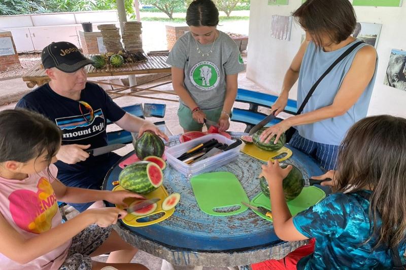 Somboon-olifant-Foundation-kanchanaburi