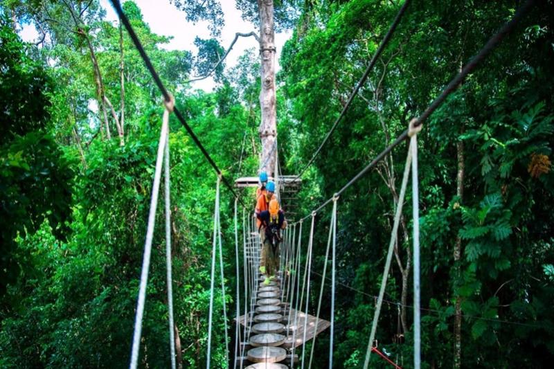 Tokkelen Khaolak Green Wood Travel