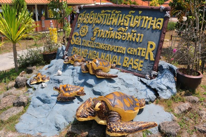 Khao Lak Safari schildpadden Turtle conservation center