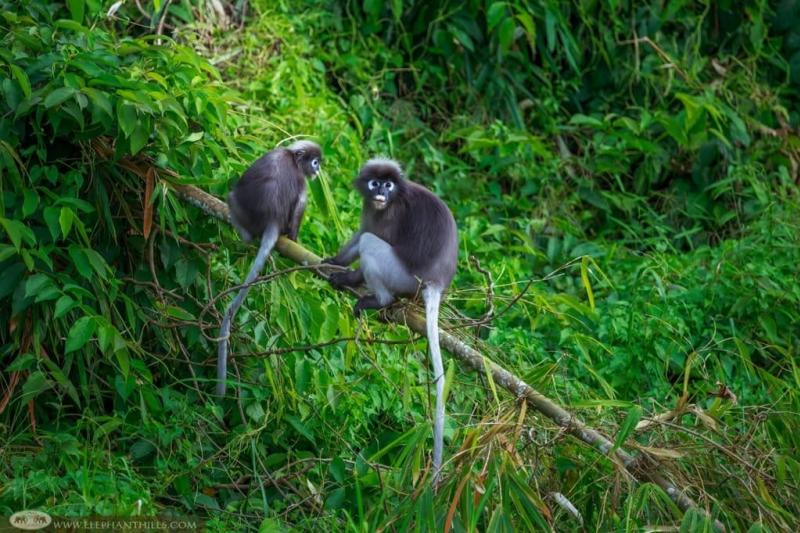 360° Issara Floating Resort 3Days 2 Night