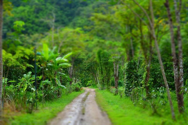 Tractorrit boerenland Thailand