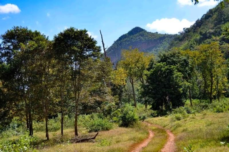 Tractorrit boerenland Thailand