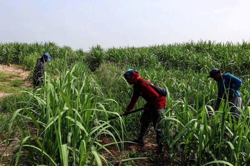 Tractor trip Greenwood Travel River Kwai