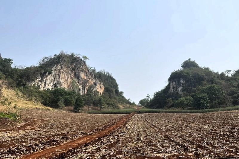 Tractorrit boerenland Thailand