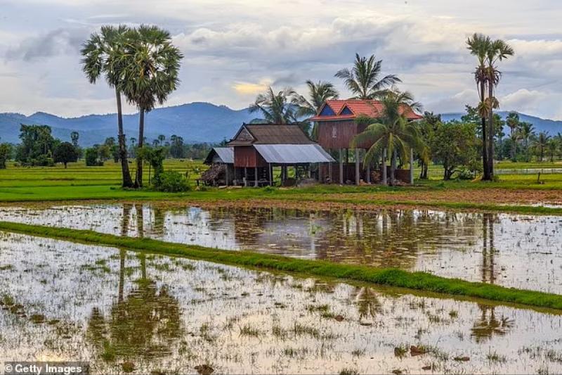 Tractorrit boerenland Thailand