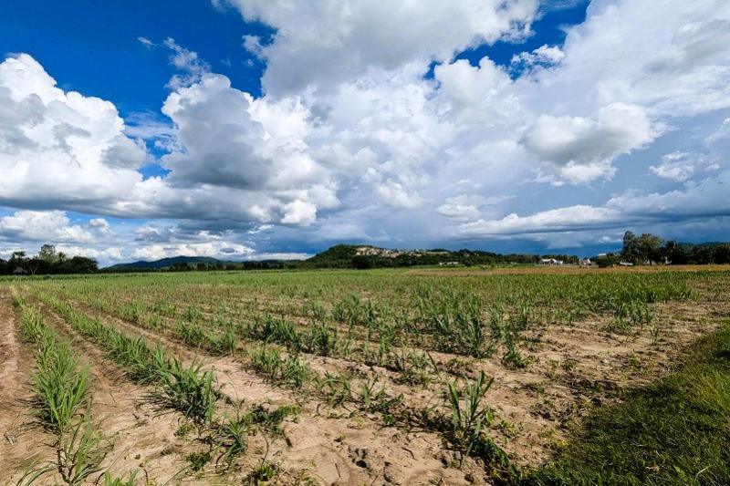 Tractor tour boer Thailand Kanchanaburi