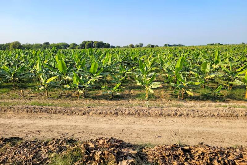 Tractor trip Greenwood Travel River Kwai