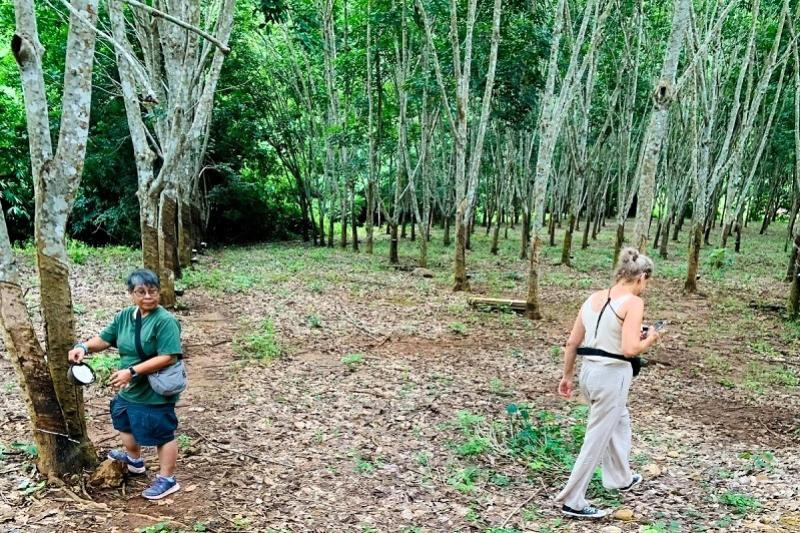Tractor tour boer Thailand Kanchanaburi