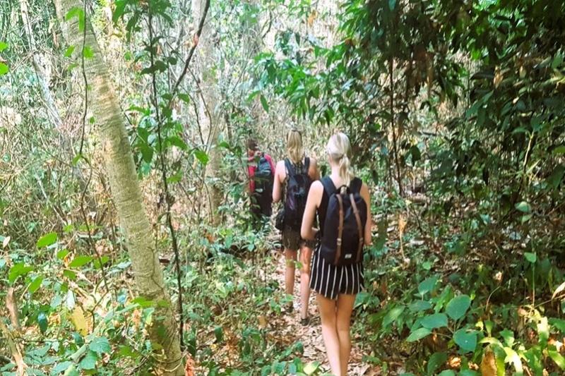 Sticky Waterfall trekking Green wood Travel